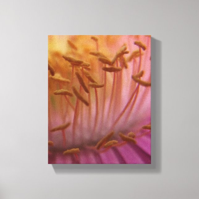 Pink Flower Pollen Canvas Print (Front)