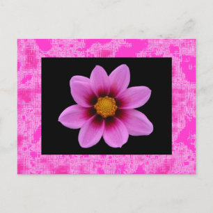 Pink Flower Postcard
