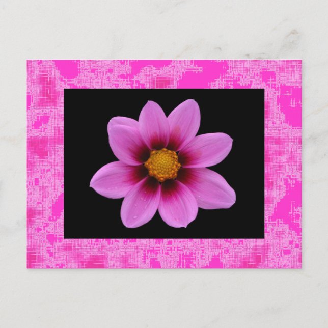 Pink Flower Postcard (Front)