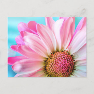 Pink flower postcard