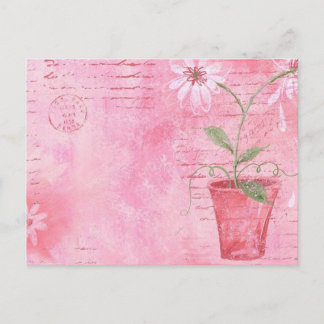 Pink, Flower Postcard