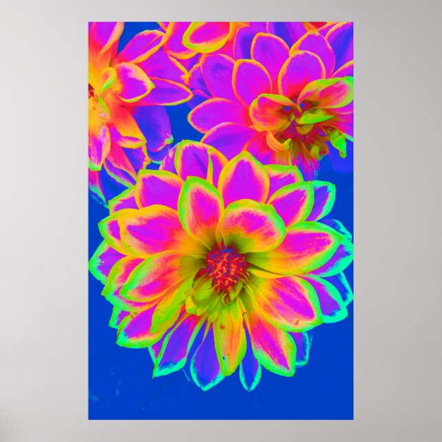 Pink Flower Power Poster (Front)