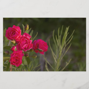 Pink Flower Stationery