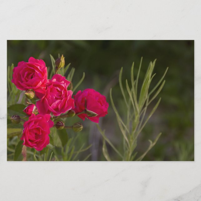 Pink Flower Stationery (Front)