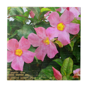 Pink Flower Tile