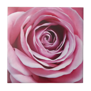 Pink flower, watercolor rose bud detail tile