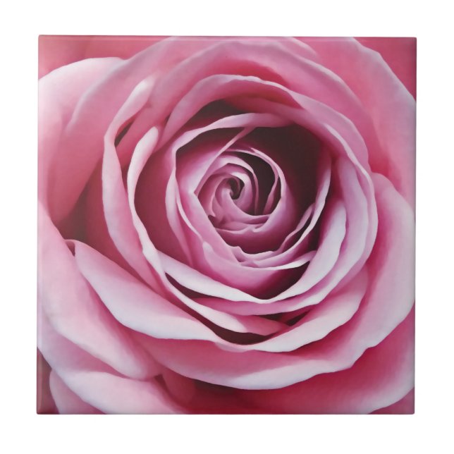 Pink flower, watercolor rose bud detail tile (Front)