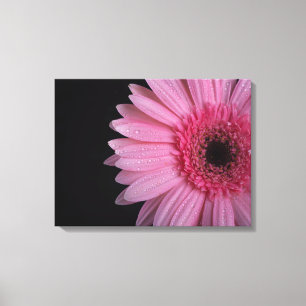 Pink Flower Wrapped Canvas