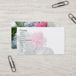 Pink Flowered Bromeliad Business Card