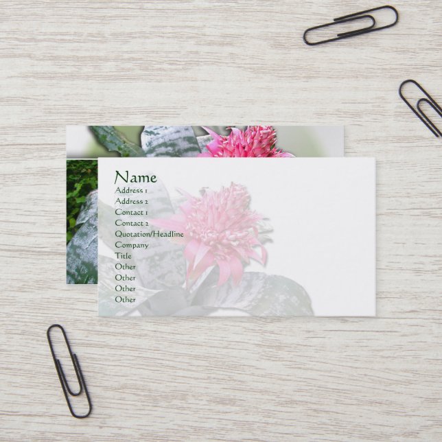 Pink Flowered Bromeliad Business Card (Front/Back In Situ)