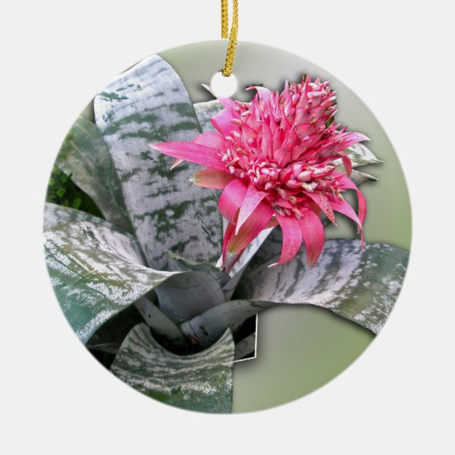 Pink Flowered Bromeliad Ceramic Tree Decoration (Front)