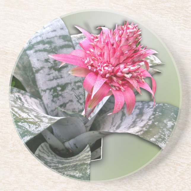 Pink Flowered Bromeliad Coaster (Front)