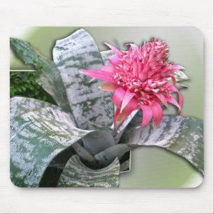 Pink Flowered Bromeliad Mouse Mat