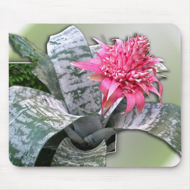Pink Flowered Bromeliad Mouse Mat (Front)