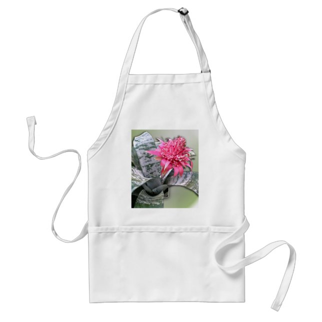 Pink Flowered Bromeliad Standard Apron (Front)
