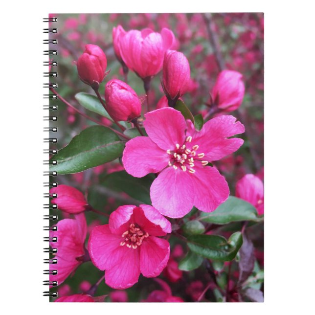 Pink Flowering Crabapple Notebook (Front)