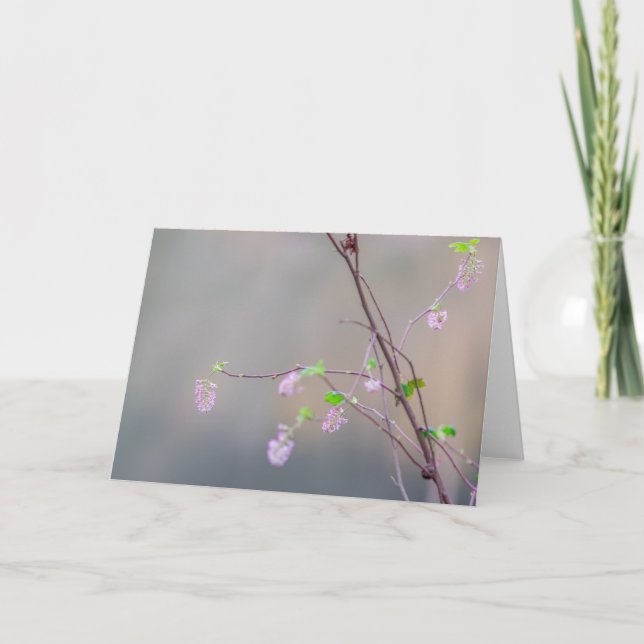 Pink Flowering Currant Card (Front)