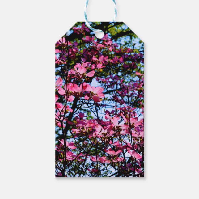 Pink flowering Dogwood tree Gift Tags (Front)
