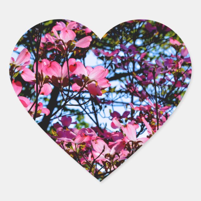 Pink flowering Dogwood tree  Heart Sticker (Front)