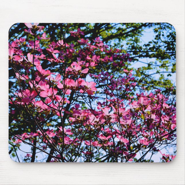 Pink flowering Dogwood tree Mouse Mat (Front)