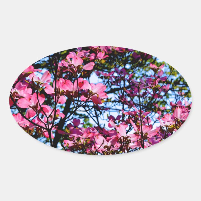 Pink flowering Dogwood tree Oval Sticker (Front)