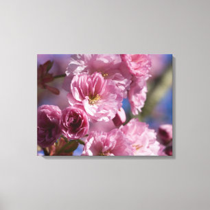Pink Flowering Japanese Cherry Blossoms Wall Art
