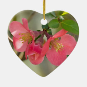 Pink Flowering Quince Glow Ceramic Tree Decoration