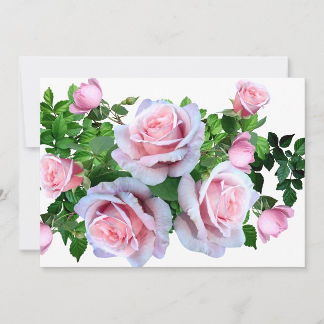 Pink Flowering Rose (Front)