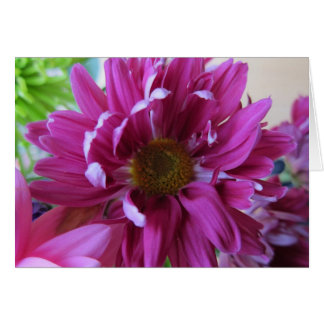 Pink Flowers
