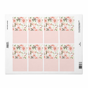 Pink flowers