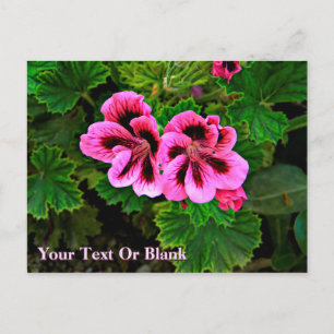 Pink Flowers 1 Postcard