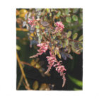Pink flowers against a black background