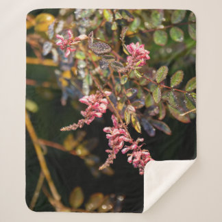 Pink flowers against a black background sherpa blanket