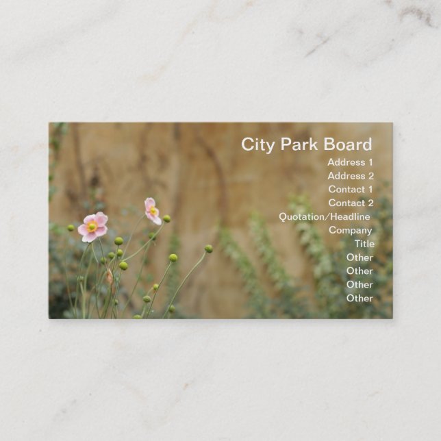 Pink Flowers Against a Church Wall Business Card (Front)