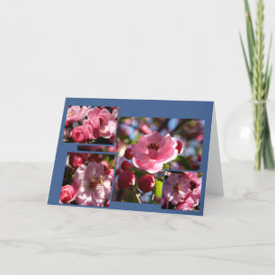 Pink Flowers Any Occasion Greeting Card