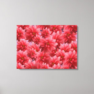 Pink Flowers Beauty  Canvas Print