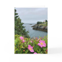 pink flowers by the sea card (blank inside) 