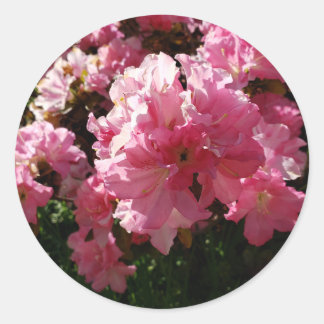 Pink Flowers Classic Round Sticker