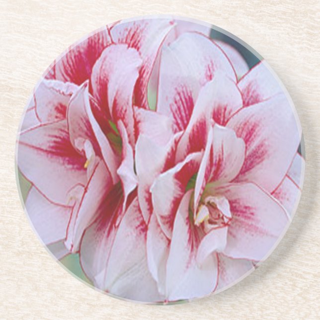 Pink Flowers Coaster (Front)