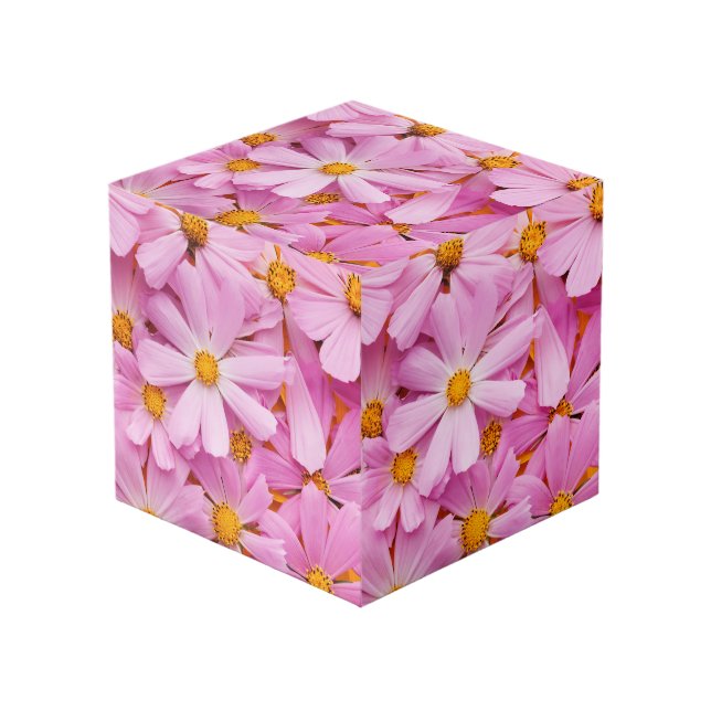 Pink Flowers Cube (Front Angled)