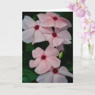 Pink Flowers Floral Art Blank Note Card