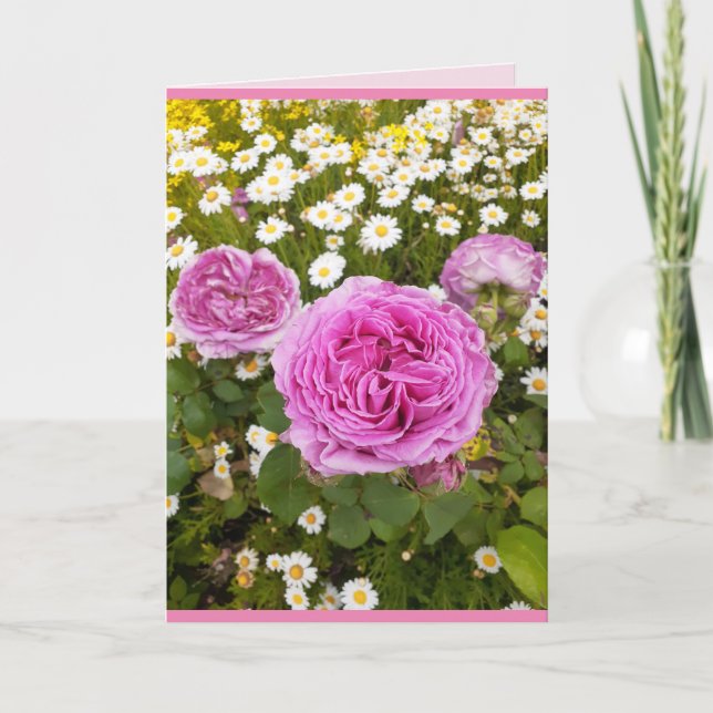 Pink Flowers Floral Rose Roses Daisy Greetings Card (Front)