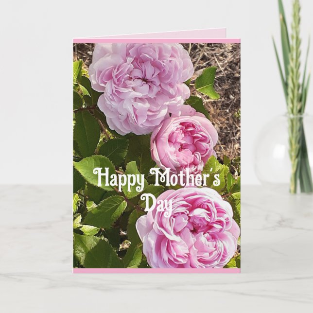 Pink Flowers Floral Rose Roses Mothers Day Card (Front)