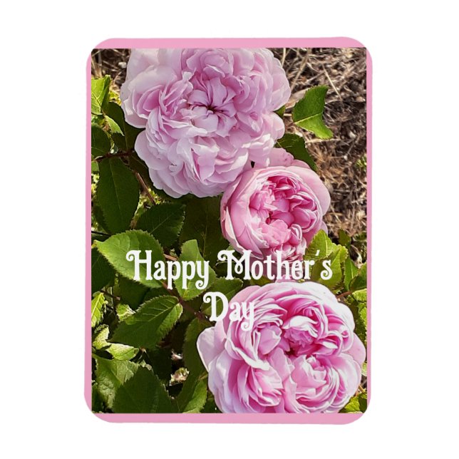 Pink Flowers Floral Rose Roses Mothers Day Card Magnet (Vertical)
