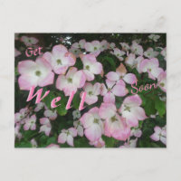 Pink Flowers Get Well Soon Postcard