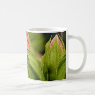 Pink Flowers Green Buds Floral  Love Photo  Mug