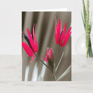 Pink Flowers Holiday Card