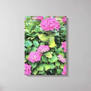Pink Flowers Hydrangea Single Print