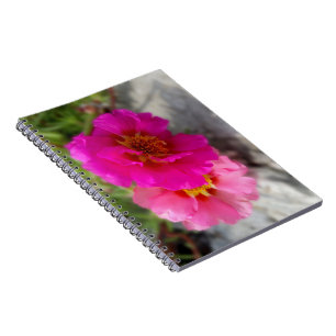 Pink flowers in the sun notebook