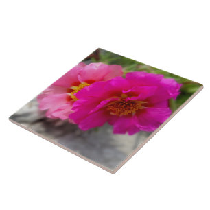 Pink flowers in the sun tile